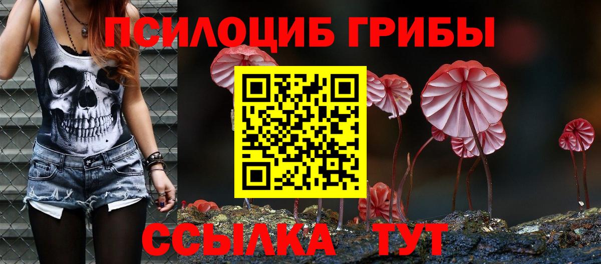 Псилоцибиновые грибы Cubensis  Вход с VPN  Тула 