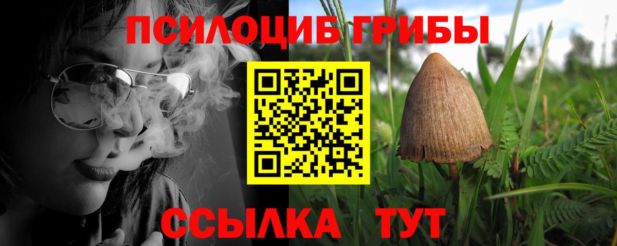 Галлюциногенные грибы MAGIC MUSHROOMS Тула